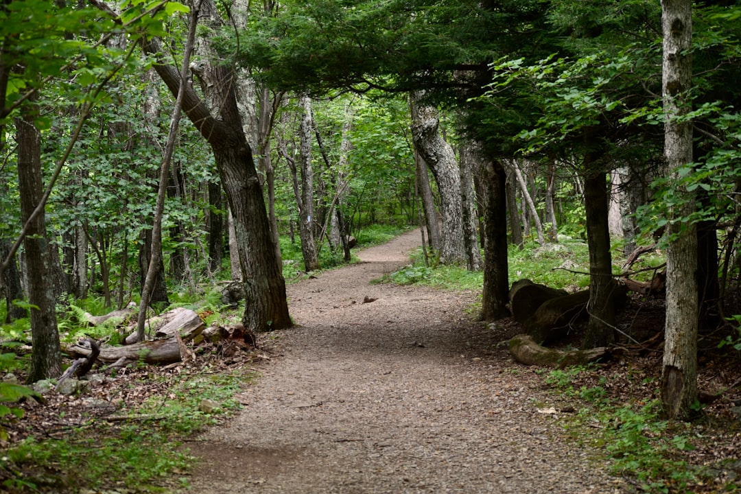 Sell Minnesota land for cash