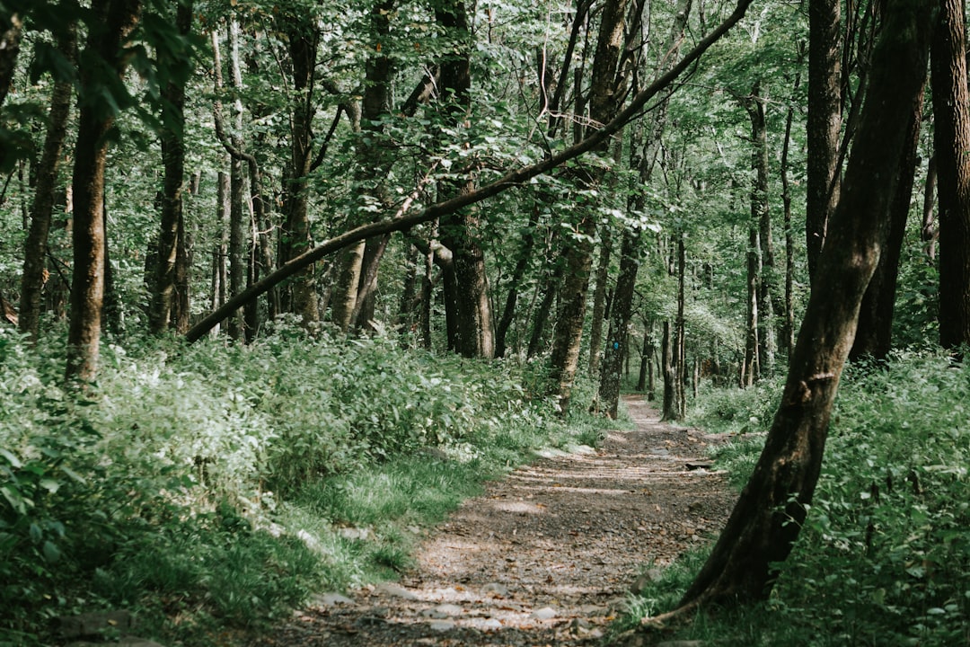 Selling inherited land for cash in Minnesota