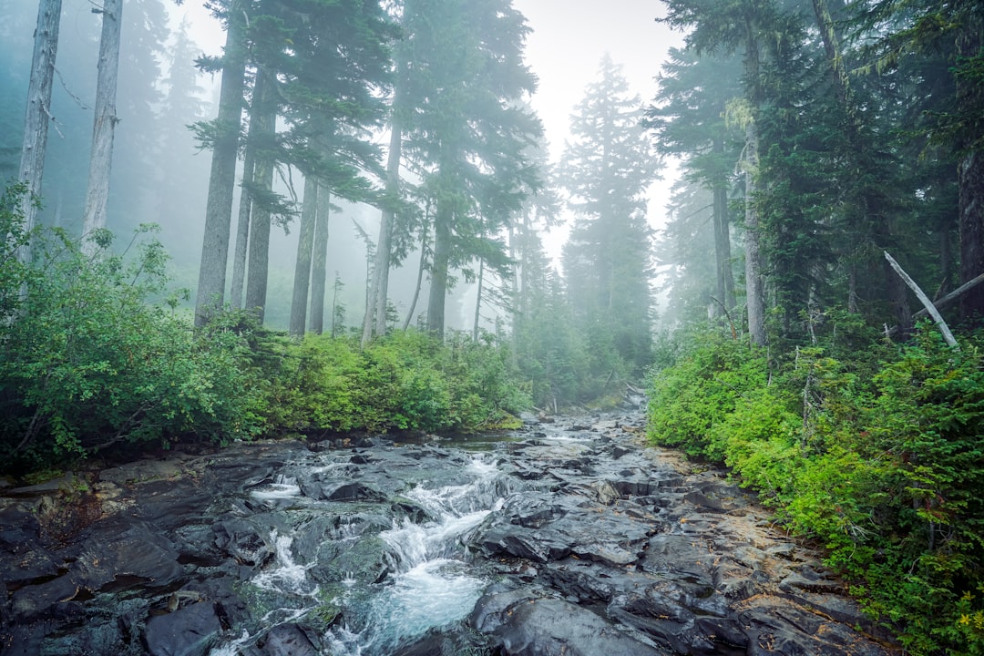 Sell vacant land for cash in MN