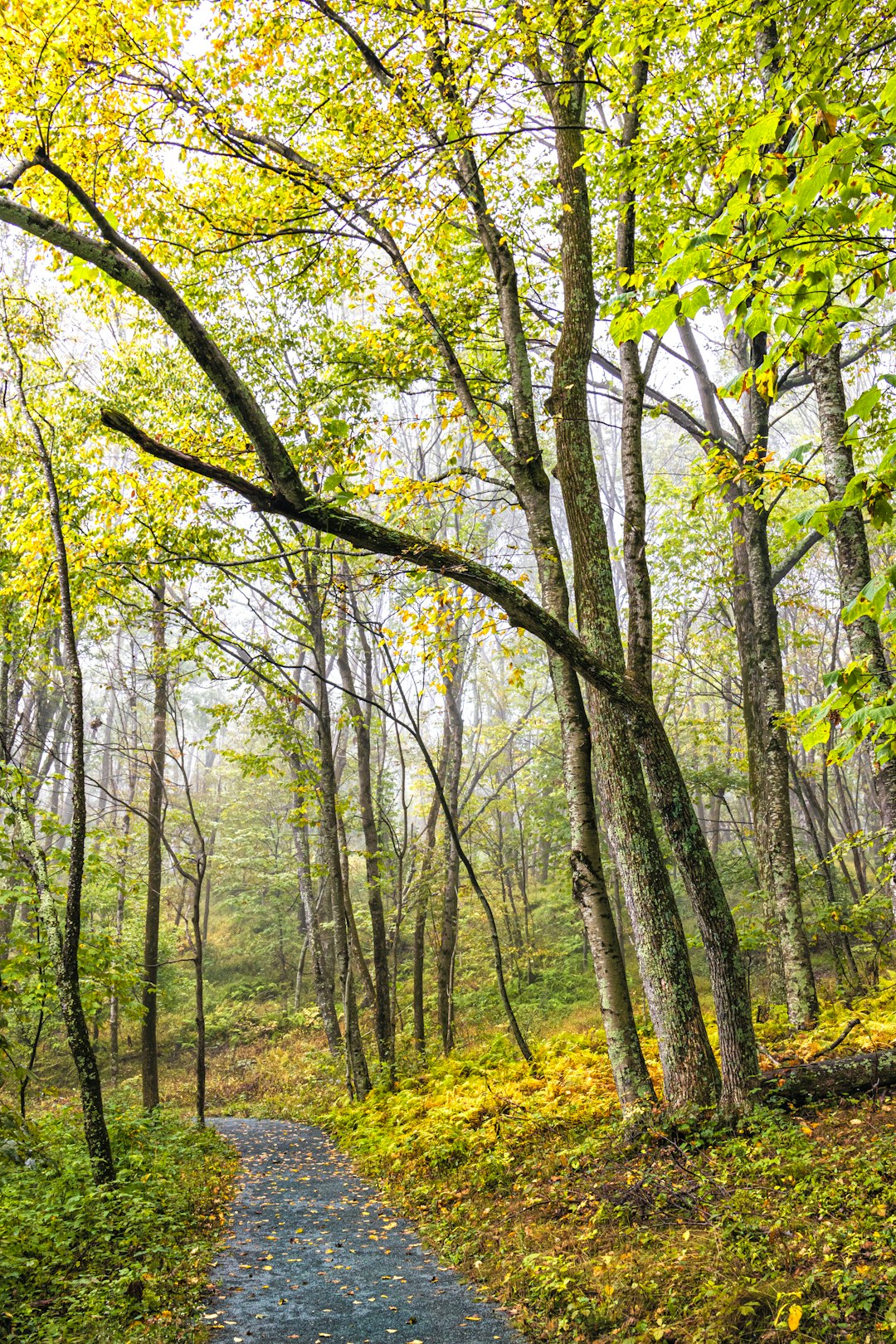 Fast cash for land in Minnesota