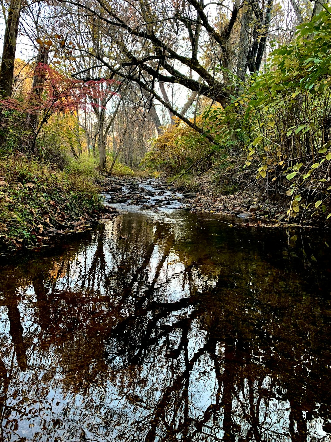 Selling land for building in Minnesota