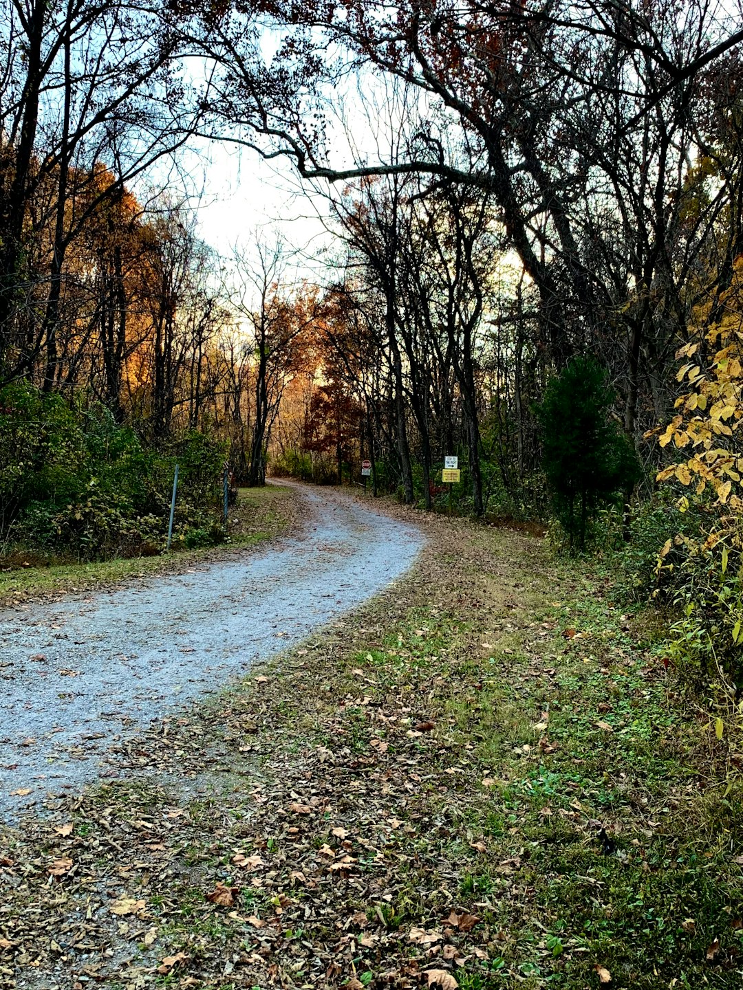 Minnesota land for cash