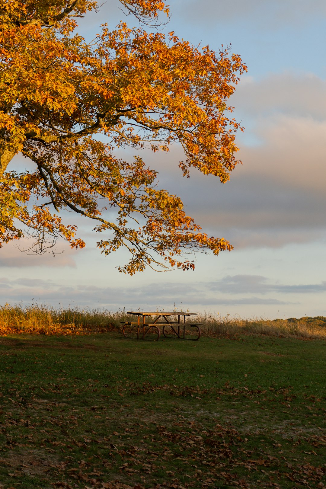 Sell my Minnesota land for cash quickly