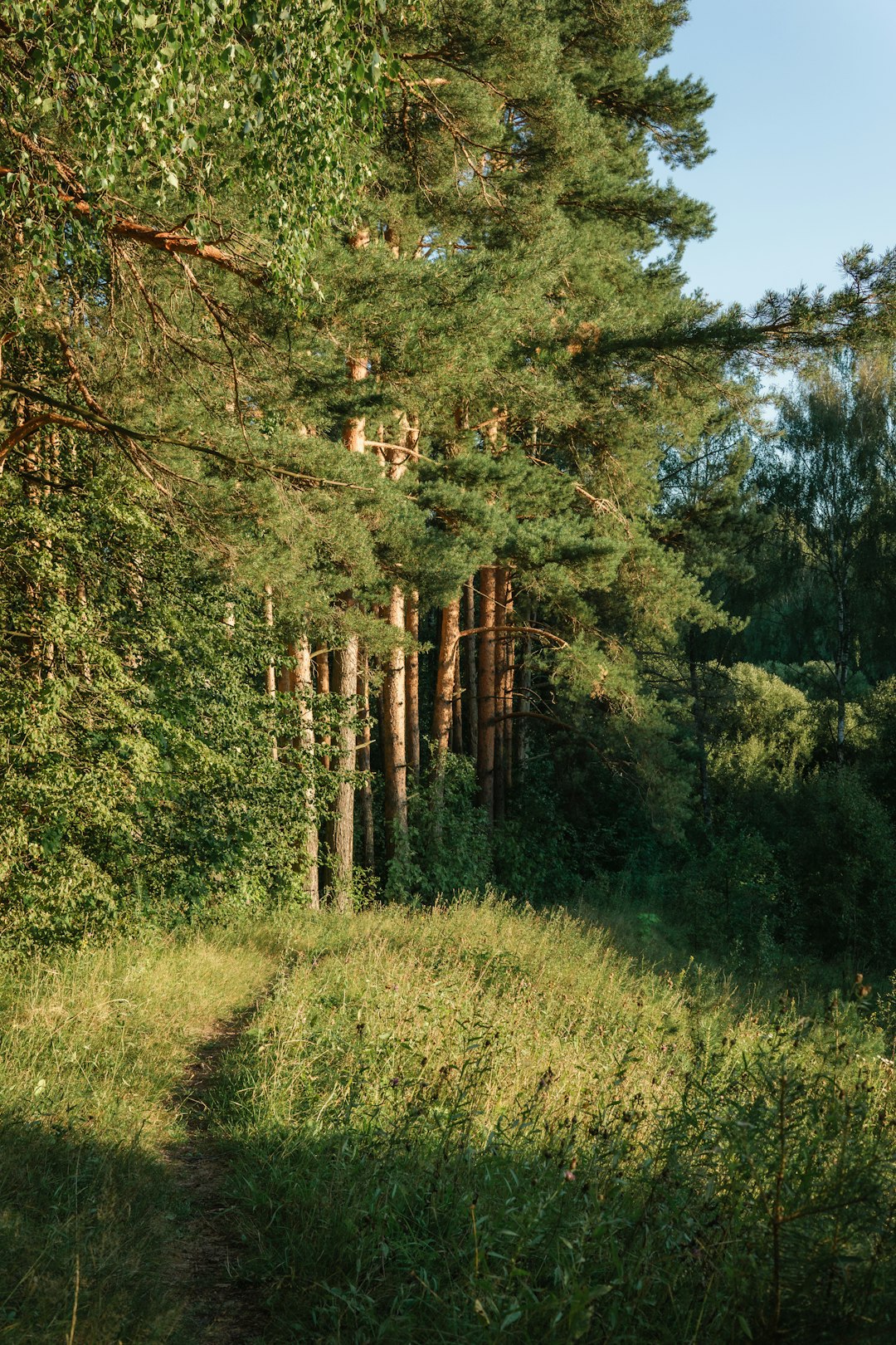 Companies that buy land for cash in Minnesota