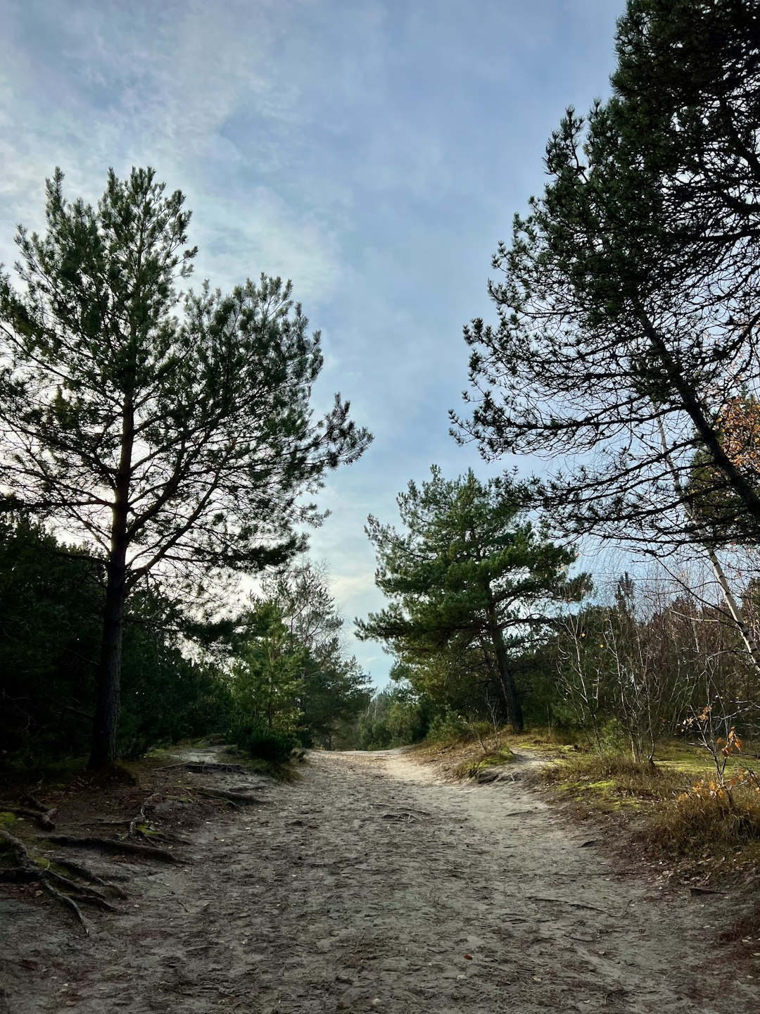 Selling land for retirement in Minnesota